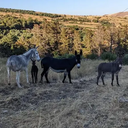 Bed and breakfast Madonie 3*